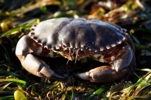 555421781_4e09a79a7d