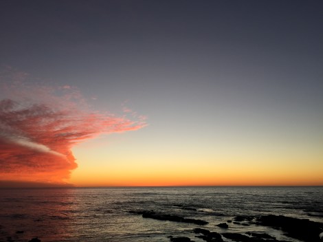 La Jolla is home to a marine protected area (La Jolla Ecological Reserve) which prohibits the take of animals and plants. Do these habitats function differently than those that are exposed to fishing pressure?